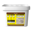 Maggi demi-glace