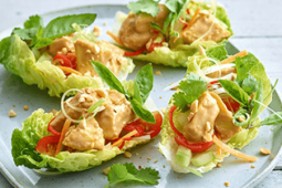 satay-style-garden-gourmet-fillet-pieces-with-asian-herbs