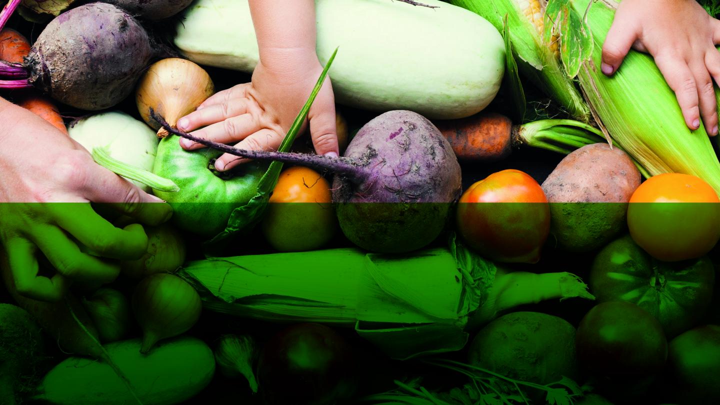 pile of mixed vegetables with hands on them 