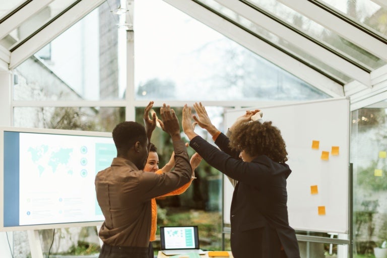 colleagues collaborating on a project