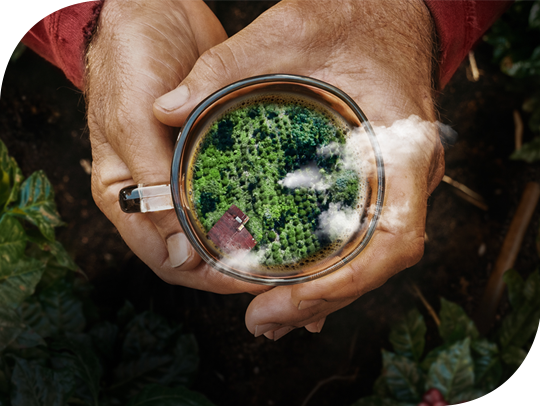 NESCAFÉ® Coffee Plan