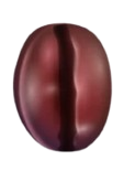 Coffee bean Medium-Dark Roast