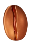 Coffee bean Medium Roast