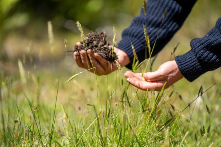 hands holding soil